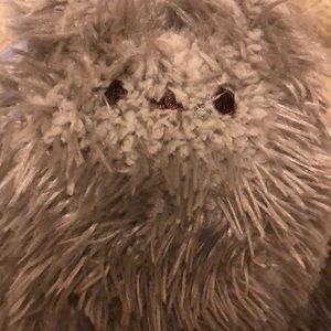 Meet your Posher, Kasi